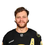 David Pastrnak