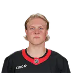 Fabian Zetterlund