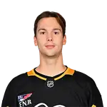 Joel Blomqvist