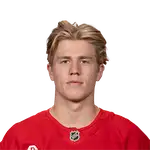 Michael Brandsegg-Nygård