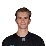 Ville Ottavainen